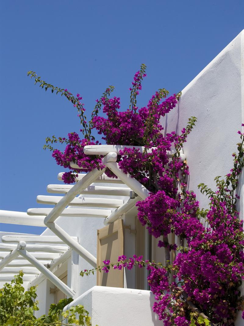 Vanilla Hotel Ornos  Bagian luar foto